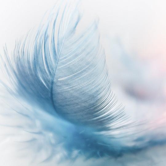 Wohnraumlüftung -  Bild von Christine Sponchia auf Pixabay Wohnraumlüftung