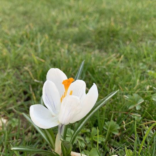 Heizen mit einer Sole Wärmepumpe - Bild von Jakob Günther Heizen mit einer Sole Wärmepumpe