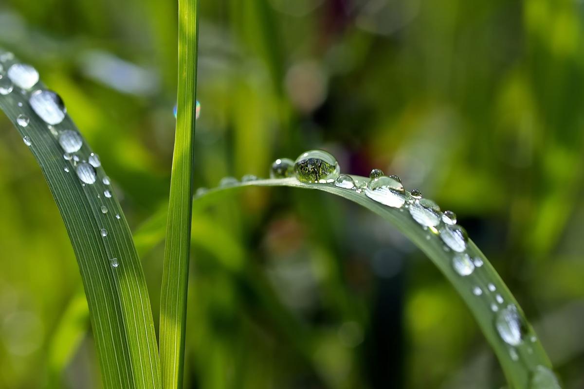 Feuchte - Bild von kie-ker auf Pixabay Feuchte